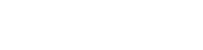 Intelion Informatycy do usług
